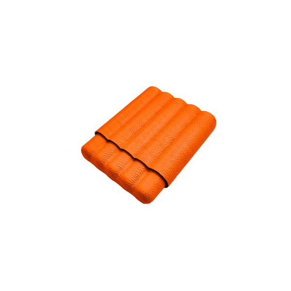 Etui à cigare - pour cinq cigares Étuis à cigare