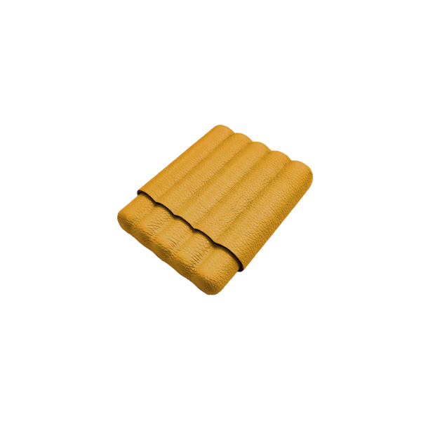 Etui à cigare - pour cinq cigares Étuis à cigare