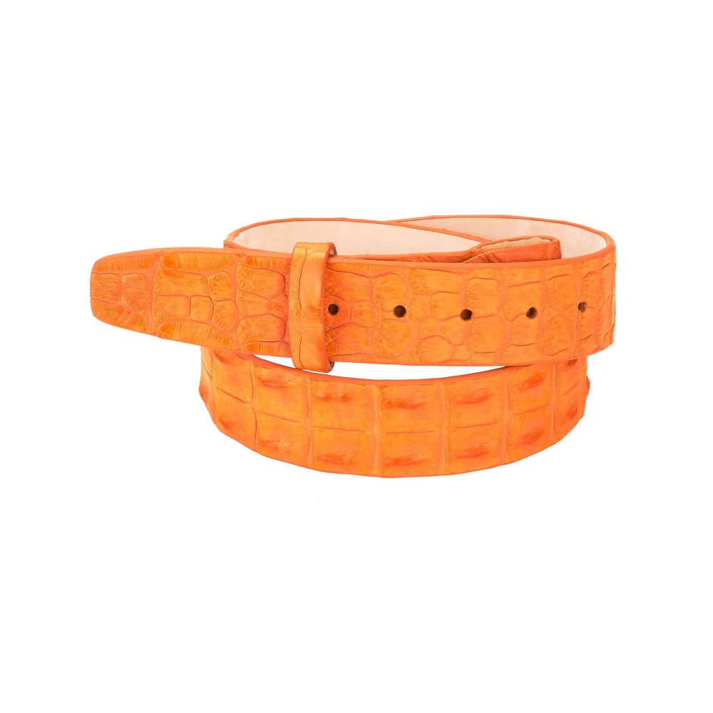 Ceinture en Crocodile Porosus Véritable - Dos de Crocodile Accueil