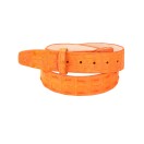 Ceinture en Crocodile Porosus Véritable - Dos de Crocodile Accueil