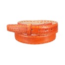 Ceinture en Patte d'Autruche Véritable Accueil